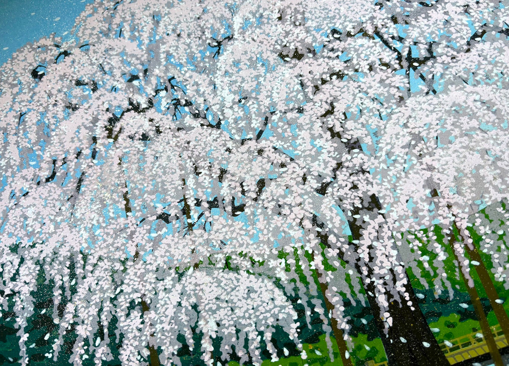 - Arashiyama Shidare Zakura (Weeping Cherry at Arashiyama, Kyoto)-