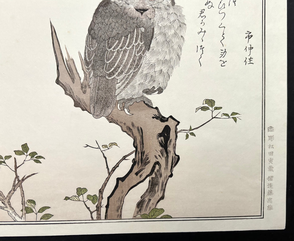 - Momochidori Kyoka Awase (Myriad Birds: A Kyoka Competition, Owl and Japanese Bullfinch) -