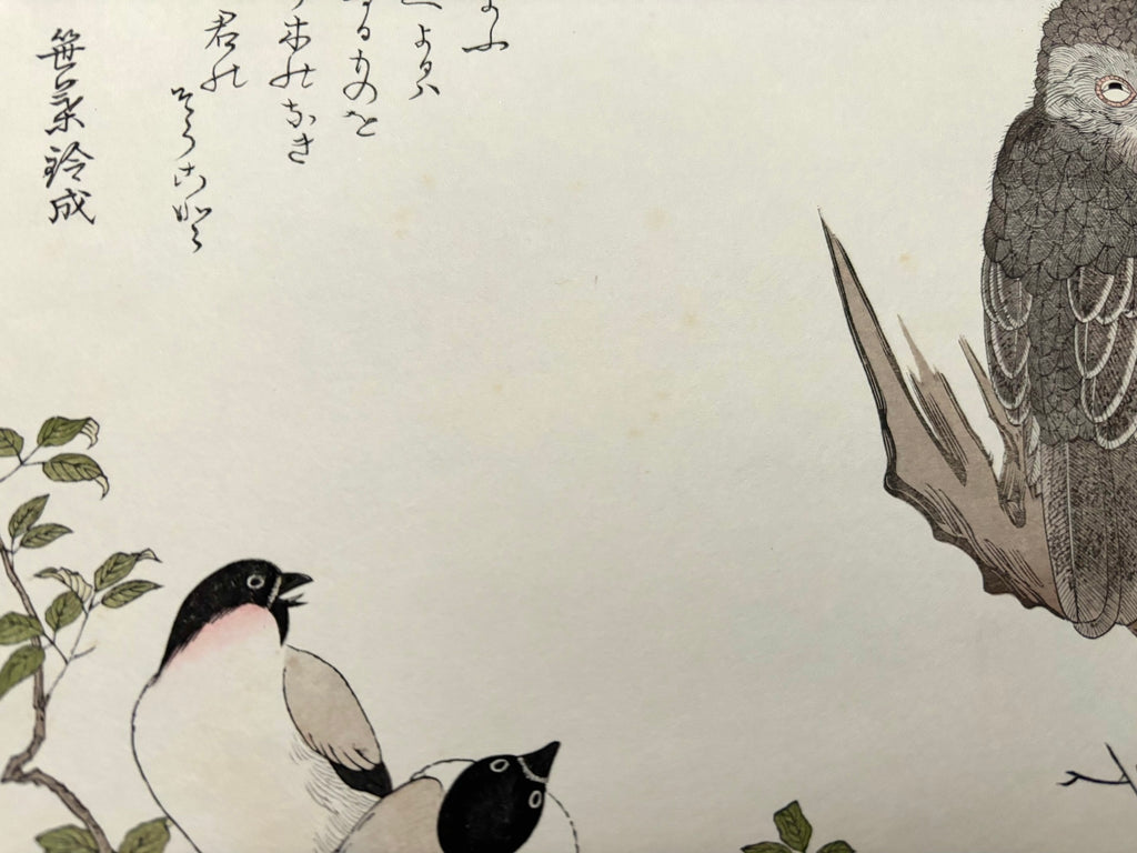 - Momochidori Kyoka Awase (Myriad Birds: A Kyoka Competition, Owl and Japanese Bullfinch) -