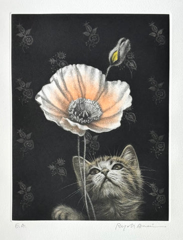 - Kitten and Poppy Flower　-