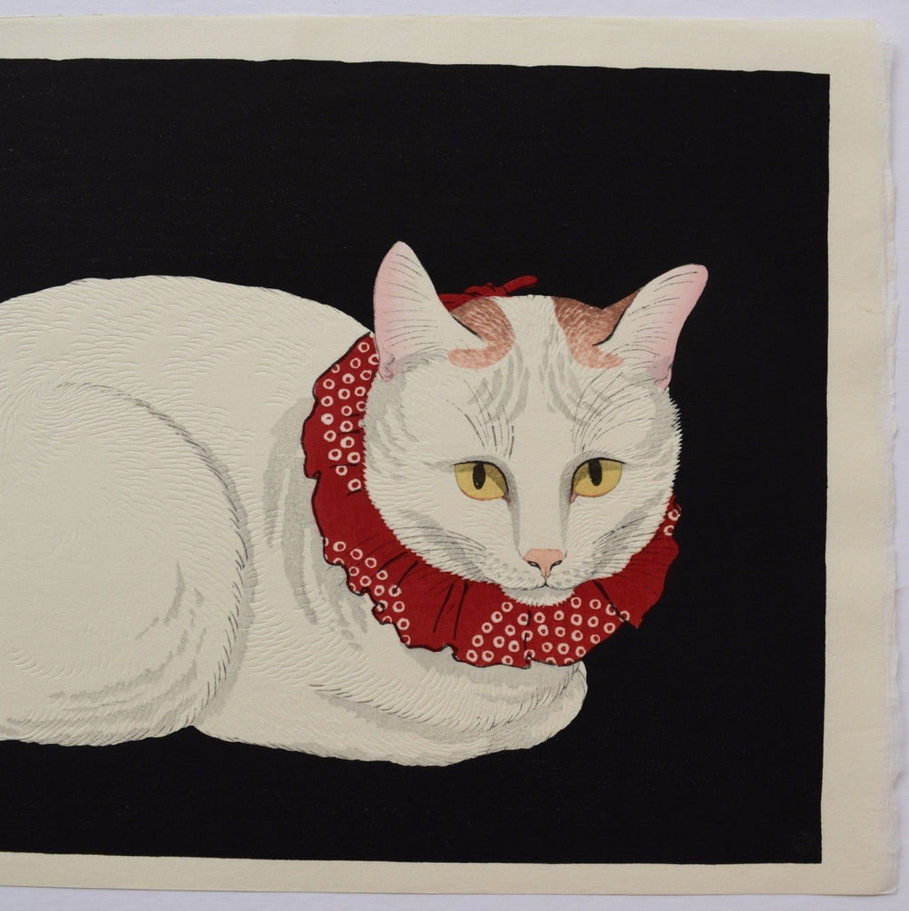 Shironeko  (White Cat) - SAKURA FINE ART