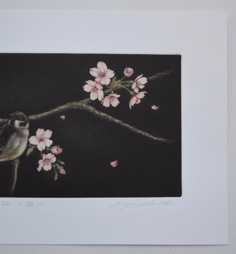 Sakura ni asobu (Sparrow and Cherry Blossoms) - SAKURA FINE ART