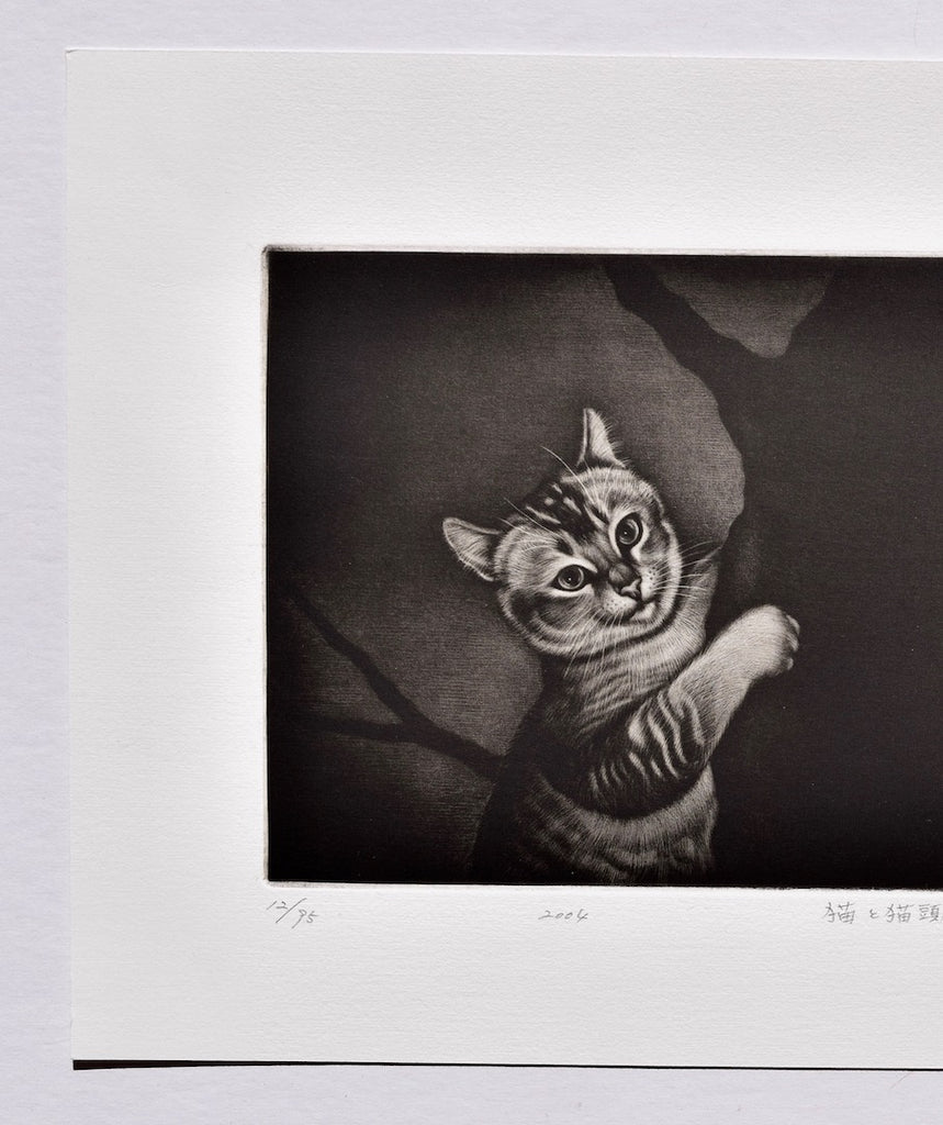 Neko to Mimizuku -  Hatsukoi  (First Love, Cat and Eared owl) - SAKURA FINE ART