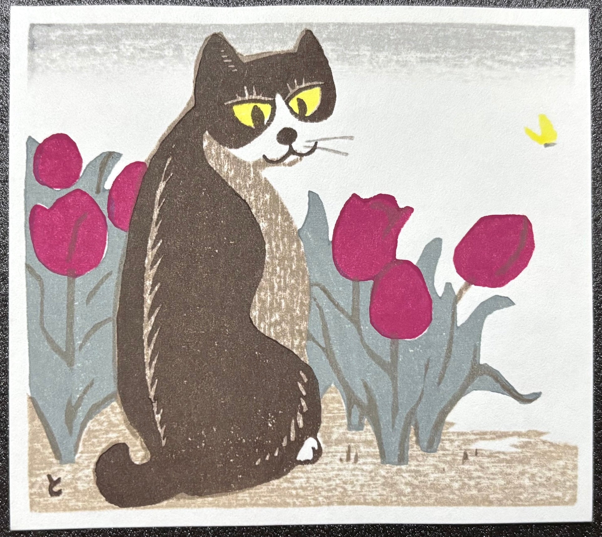 - Cat and Tulips -