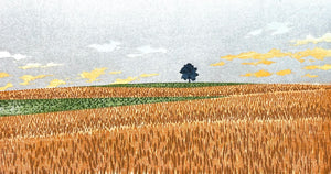 - Hill 1, Wheat -