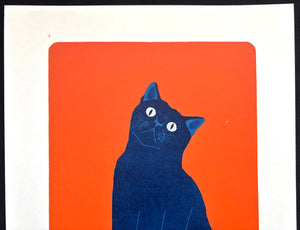 - Pose (13) Blue Cat -