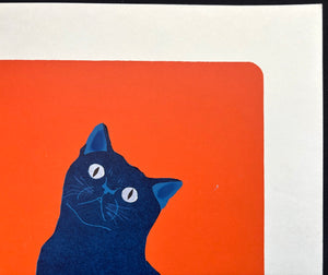 - Pose (13) Blue Cat -