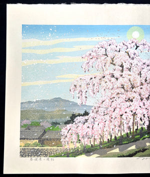 - Haru-ranman no Takizakura (Waterfall Cherry Tree in Spring) -