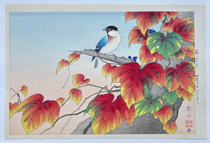 - Tsuta ni Shijugara (Japanese Ivy and Japanese Titmouse) -