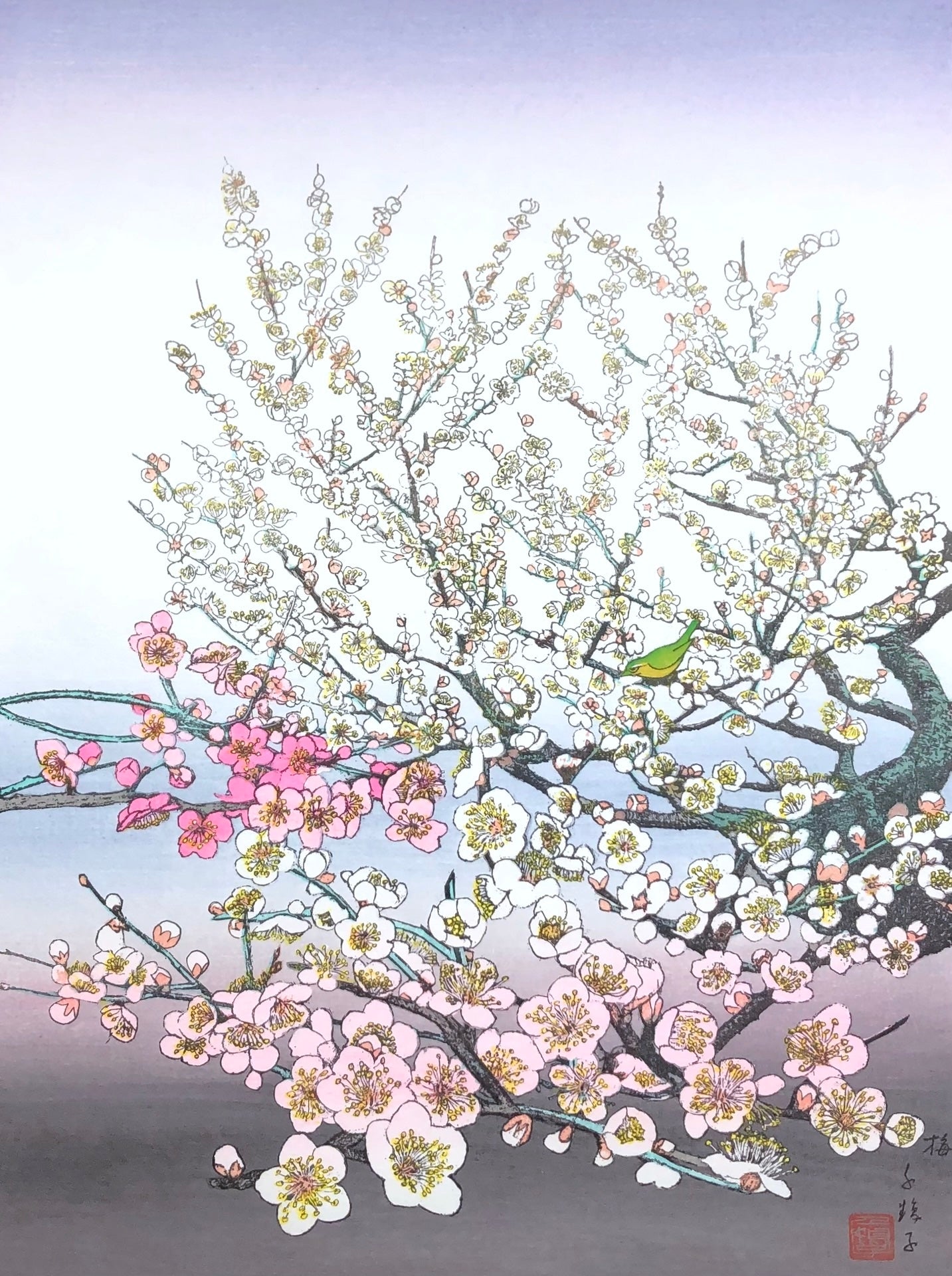 - Ume (Plum Tree) -