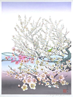 - Ume (Plum Tree) -