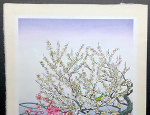 - Ume (Plum Tree) -