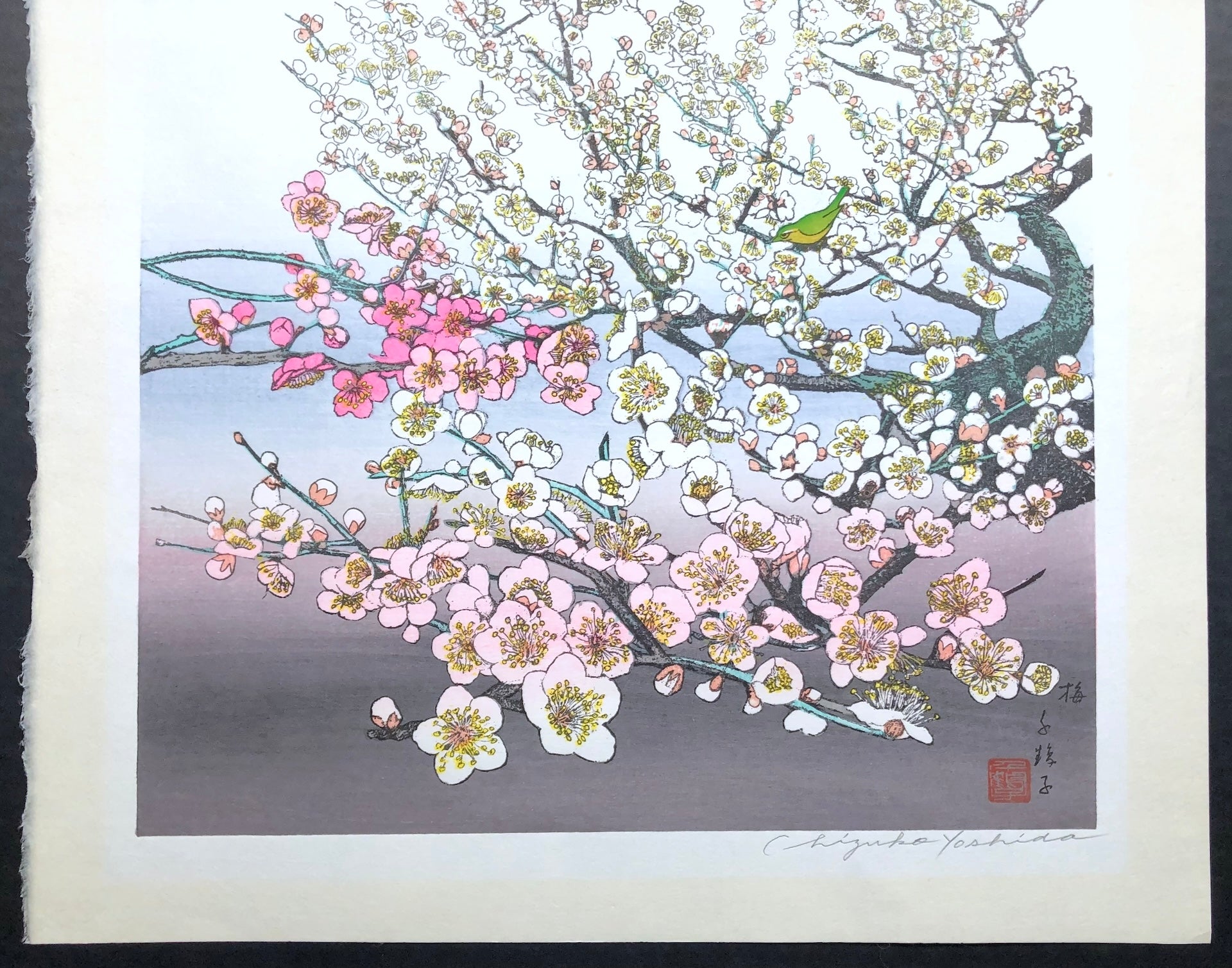 - Ume (Plum Tree) -