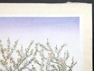 - Ume (Plum Tree) -