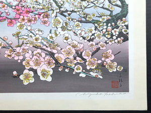 - Ume (Plum Tree) -