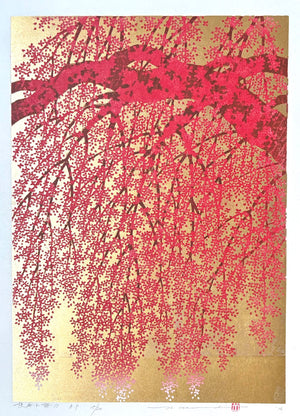 - Shidare Zakura 19  (Weeping Cherry 19) -