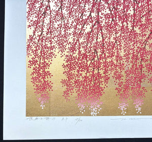 - Shidare Zakura 19  (Weeping Cherry 19) -