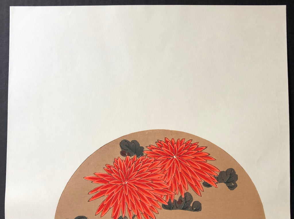 - Benigiku (Red Chrysanthemum) -