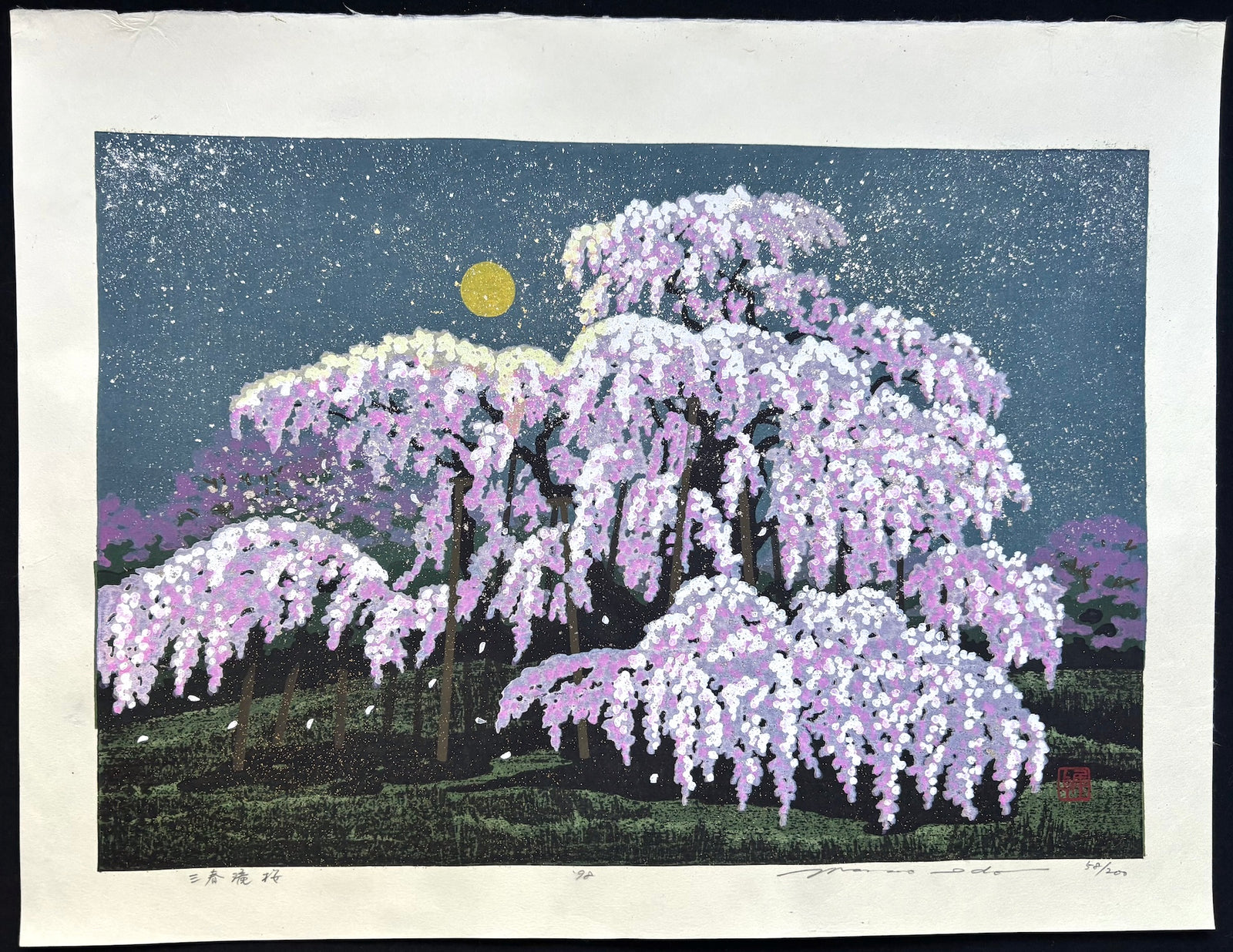 - Miharu Takizakura (Miharu Waterfall Cherry Tree at Night) -