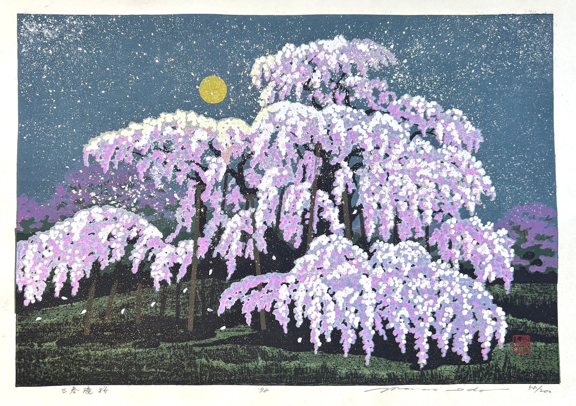 - Miharu Takizakura (Miharu Waterfall Cherry Tree at Night) -