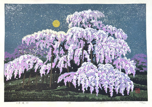 - Miharu Takizakura (Miharu Waterfall Cherry Tree at Night) -