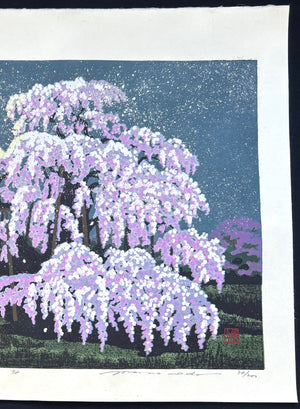 - Miharu Takizakura (Miharu Waterfall Cherry Tree at Night) -