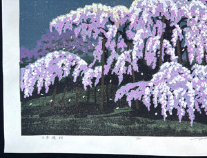 - Miharu Takizakura (Miharu Waterfall Cherry Tree at Night) -