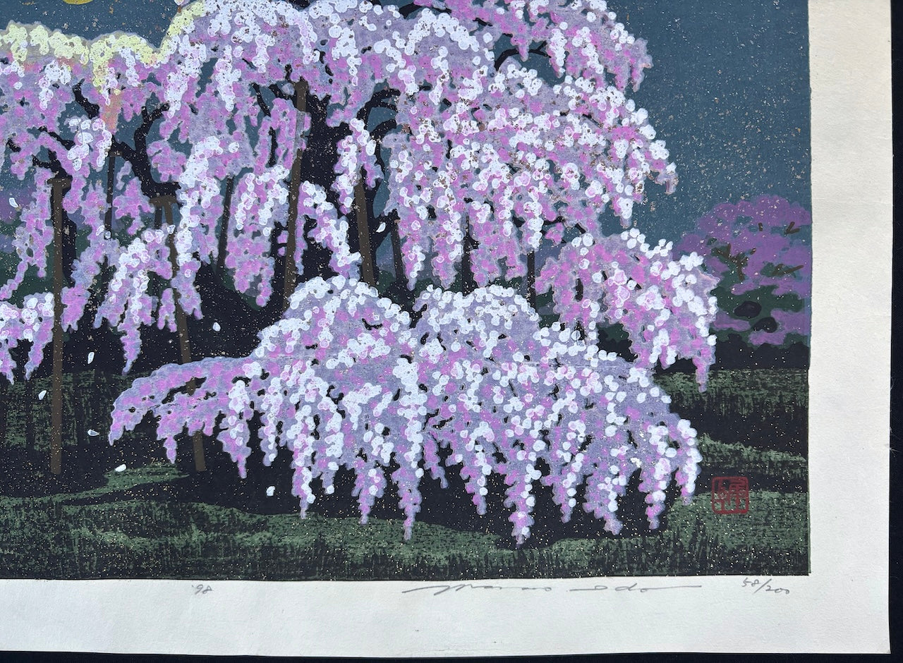 - Miharu Takizakura (Miharu Waterfall Cherry Tree at Night) -