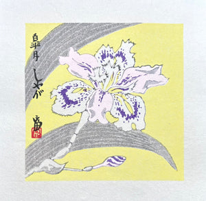 - Shaga - Satsuki (Fringed Iris – May) -