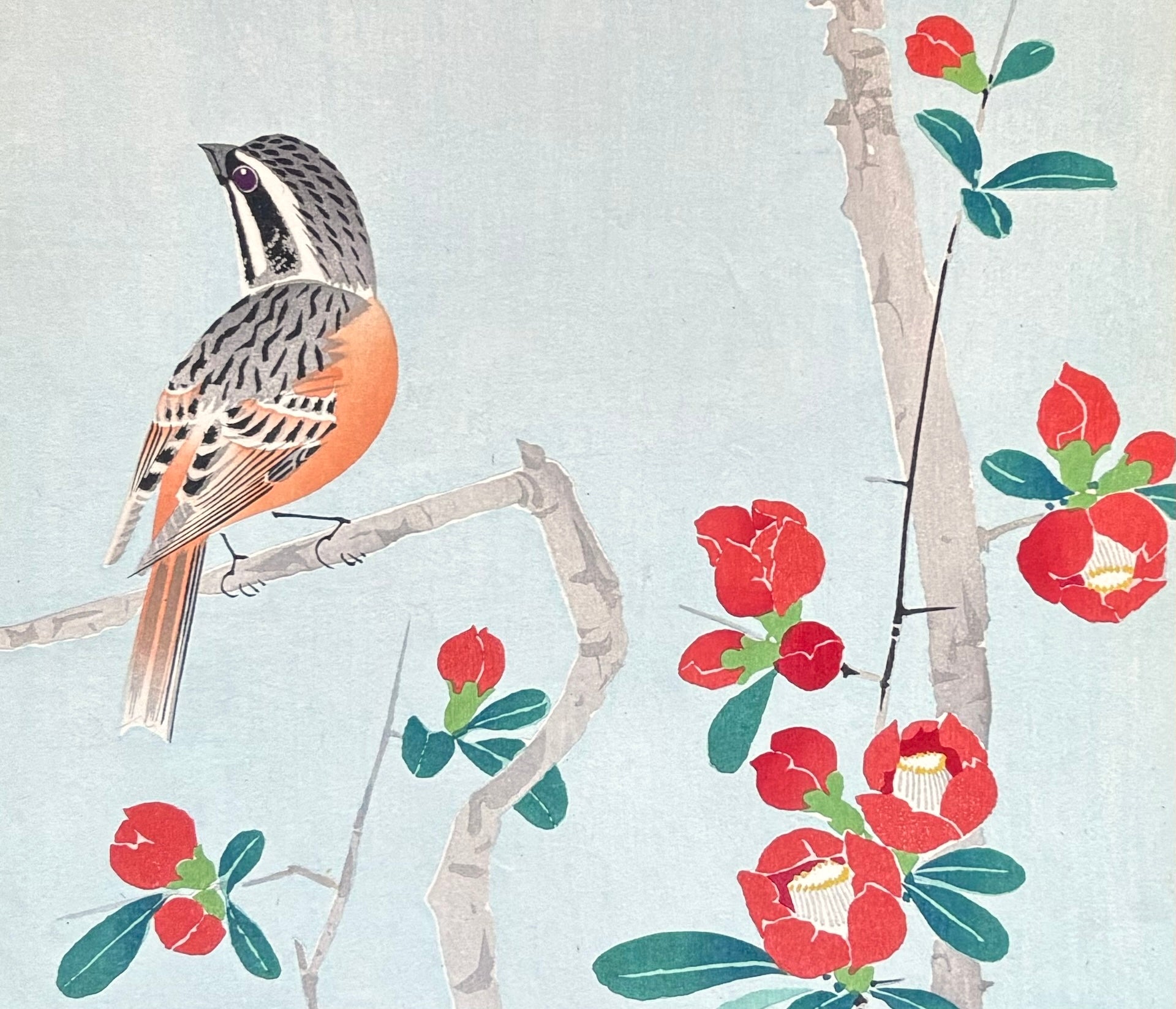 - Boke Hojiro  (Meadow Bunting and Japanese Quince ) -