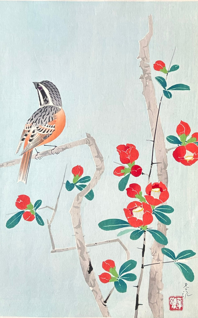 - Boke Hojiro  (Meadow Bunting and Japanese Quince ) -