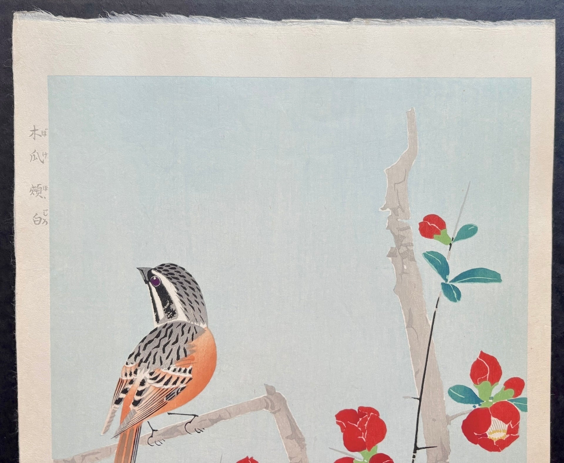 - Boke Hojiro  (Meadow Bunting and Japanese Quince ) -