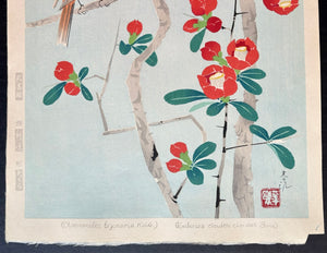 - Boke Hojiro  (Meadow Bunting and Japanese Quince ) -