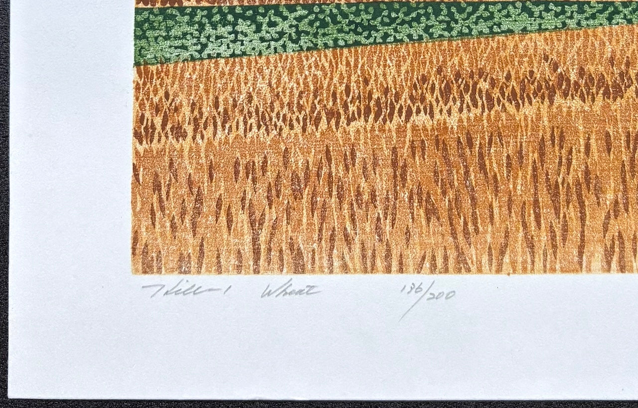 - Hill 1, Wheat -