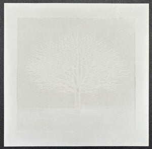 - White White Tree 2  -
