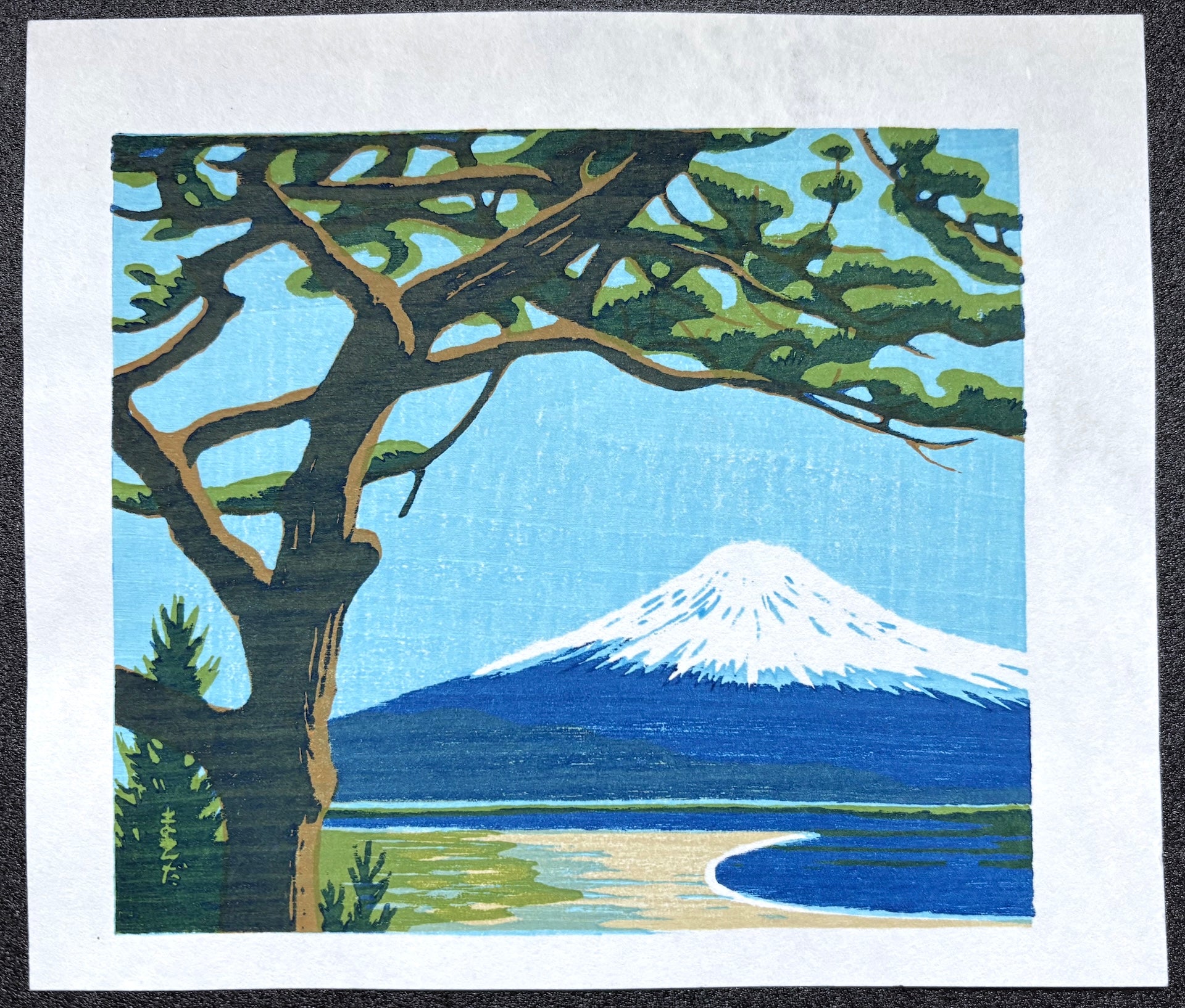 - Mt. Fuji Scenery -