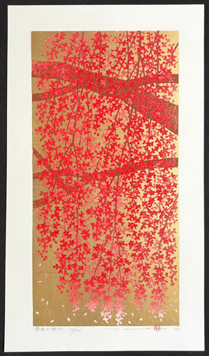 - Shidare Zakura 28  (Weeping Cherry 28) -