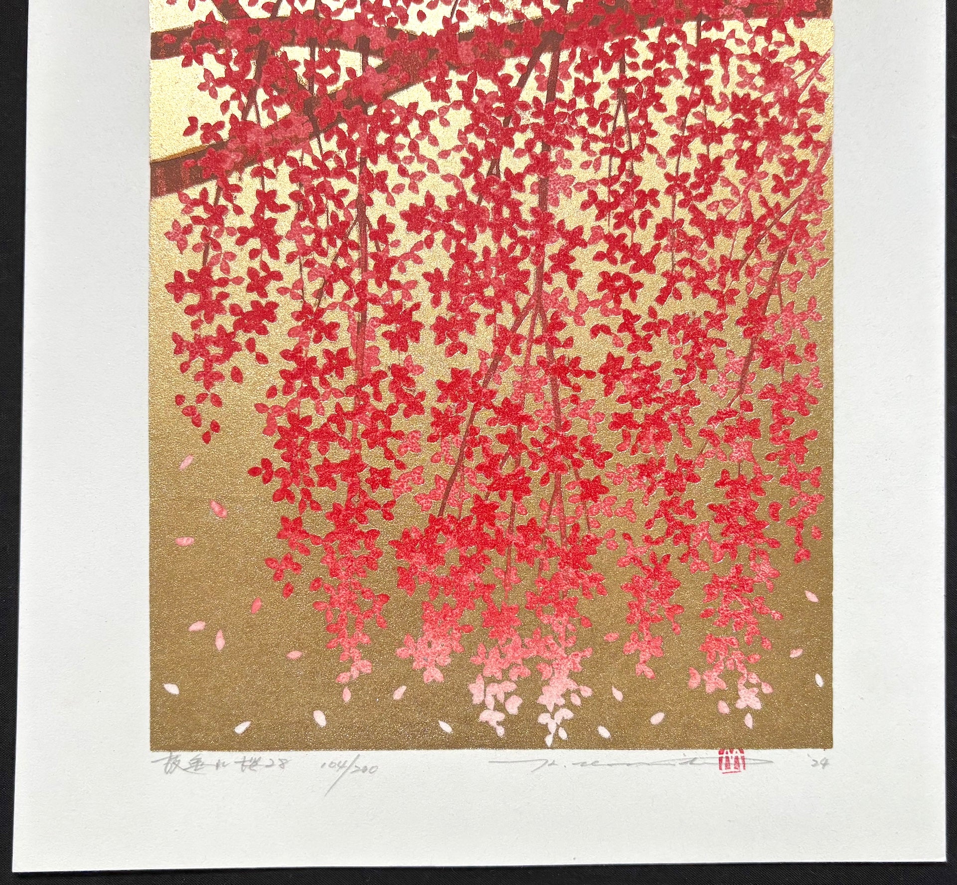 - Shidare Zakura 28  (Weeping Cherry 28) -