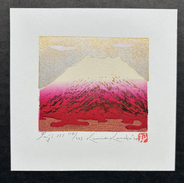 - Fuji 111 -