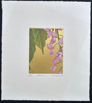 - Wisteria -