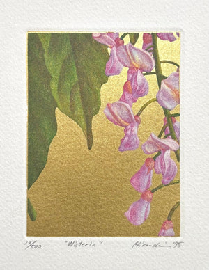 - Wisteria -