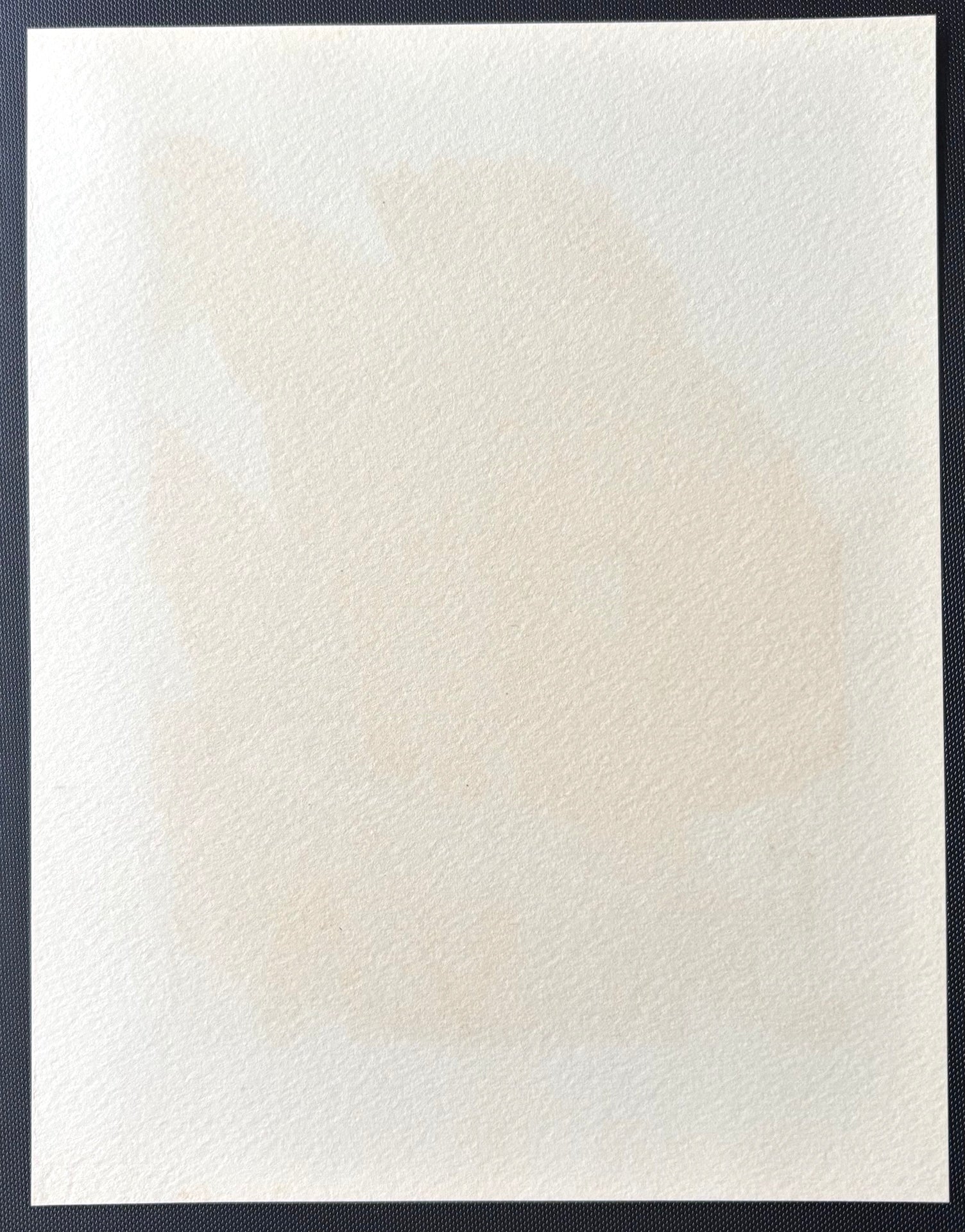 - Karatsu Okunchi (Karatsu Okunchi  Festival, Saga) -