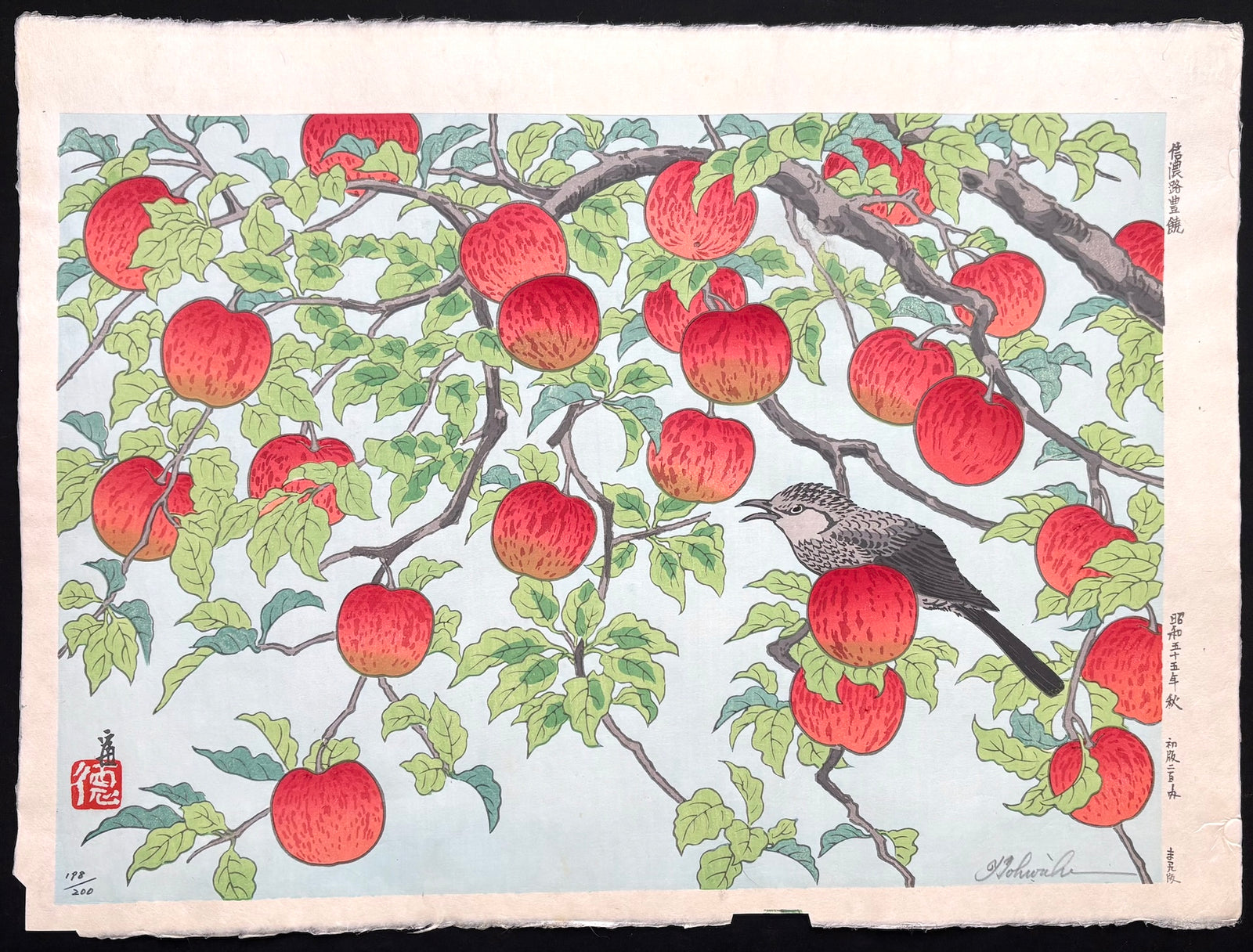 - Shinanoji Hojo (The Bounty of Shinano) -