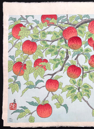 - Shinanoji Hojo (The Bounty of Shinano) -