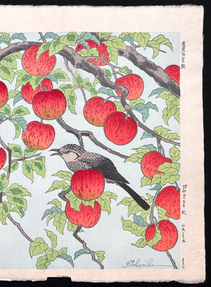 - Shinanoji Hojo (The Bounty of Shinano) -