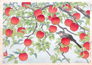 - Shinanoji Hojo (The Bounty of Shinano) -