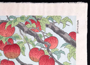 - Shinanoji Hojo (The Bounty of Shinano) -