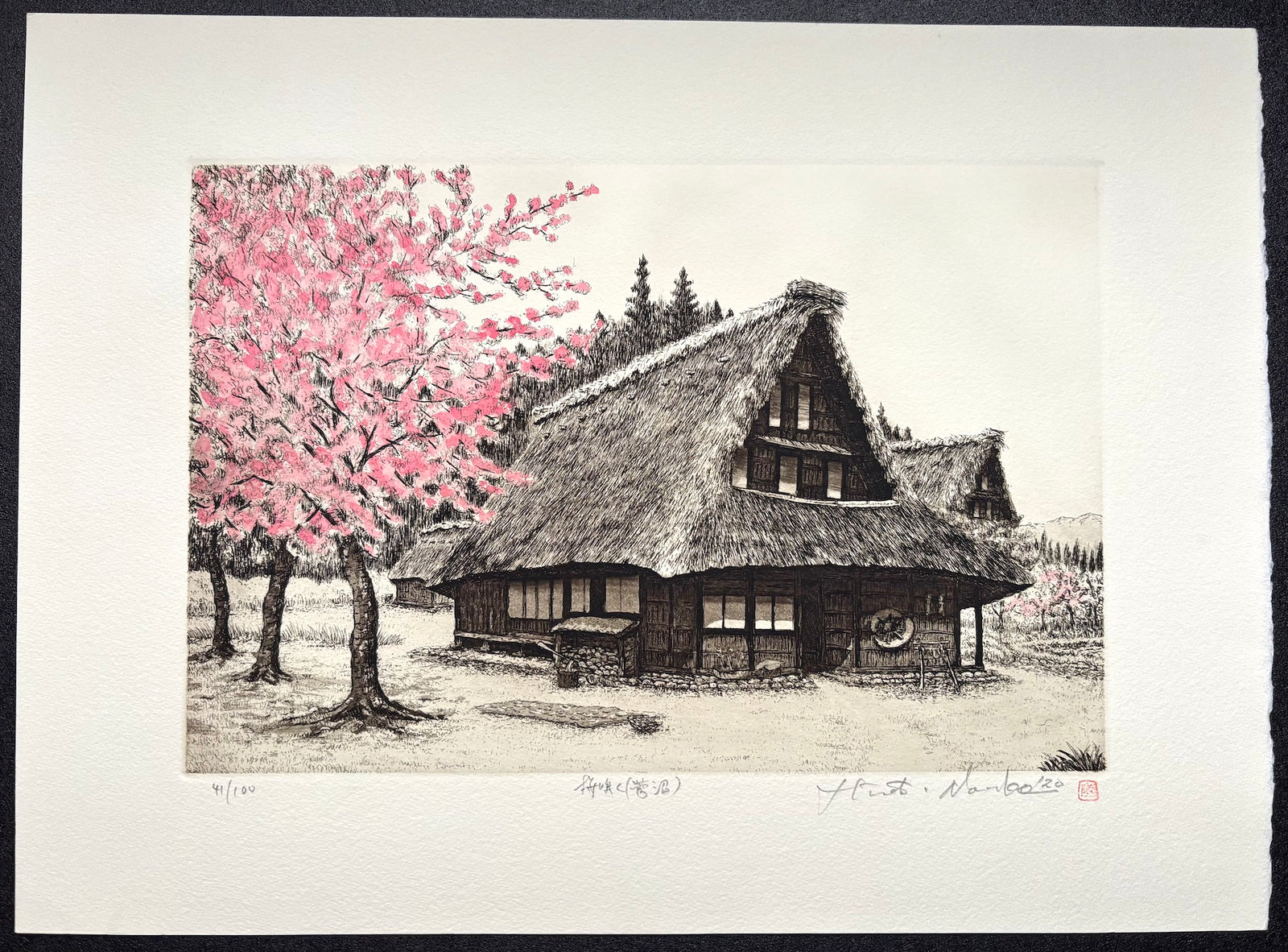 - Sakura Saku -Suganuma (When the Cherry Blossoms Bloom in Suganuma) -