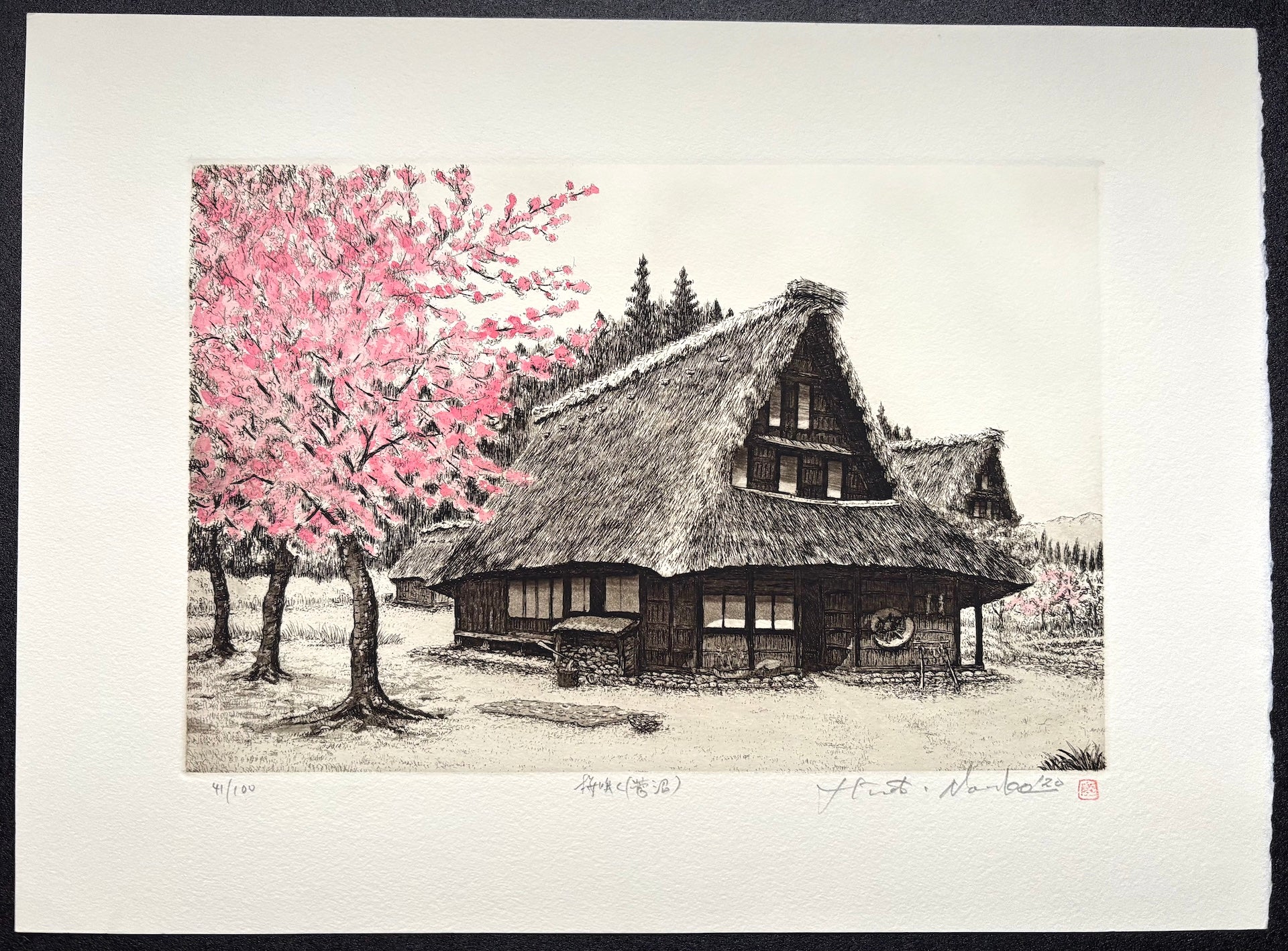 - Sakura Saku -Suganuma (When the Cherry Blossoms Bloom in Suganuma) -
