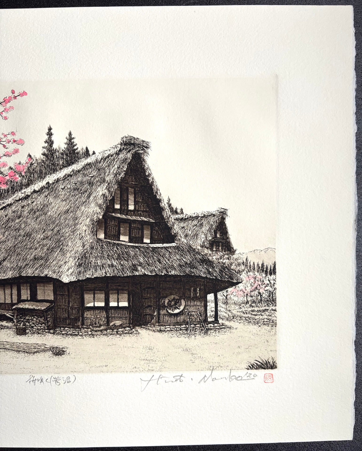 - Sakura Saku -Suganuma (When the Cherry Blossoms Bloom in Suganuma) -